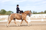 SBM_03285