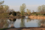 Spring Reflections 2011