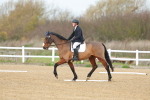 SBM_003450