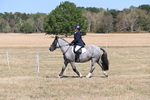 WJ6_8815