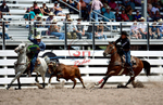 3HRodeo7-19-25_CFD_04194_Compton-Taylor