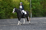 WJ5_8989