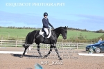BPP_8262