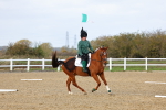 SBM_002336