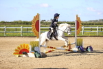 SBM_000241