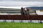 121225-Race 2-Sixmilebridge-4610