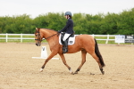 SBM_005315