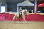 SBM_05489