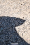 260731A-162008-02539