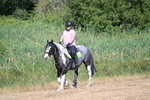 WJ7_8005