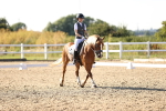 SBM_007711