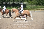 CLASS 5 / 6  NOVICE Tests 4 / 6 portfolio