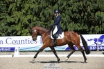 171-SLANEYSIDE_COOLEY-Lara_Chapple-WEDTrotUp+DR portfolio