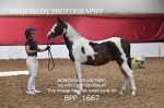 BPP_1667