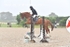 BPP_7591