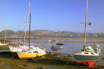 Deganwy  boats