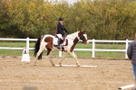 SBM_000151