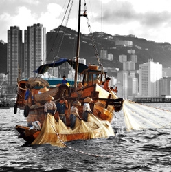 Fishing in Hong Kong harbour -1980