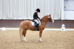 SBM_002196