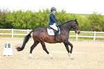SBM_000708