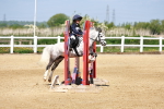 SBM_007274
