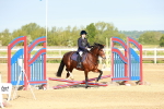 SBM_006135