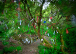 Madron Holy Well, Cornwall 3