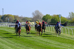 220426-Race 5-Evocative Spark-0561