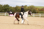 SBM_001461