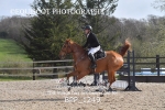 BPP_1249