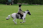 SIAL3761