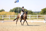 SBM_006531