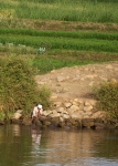 Egypt Street and River 2 2jpg