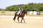 SBM_003912