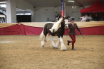 SBM_05648