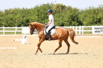 SBM_010075