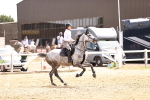 SBM_001618