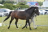 DSC05690