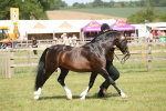 SBM_09102