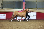 SBM_15240