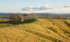 Linley Hill