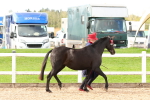 SBM_10185