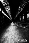 Portfolio 36