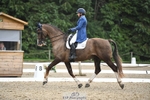 142-Amberley_Pugsley-Hero_A portfolio
