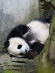 CHINA__0086