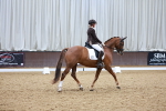 SBM_003028