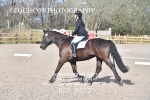 BPP_8583