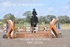 BPP_8539