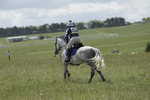 BVHT 140517  IXC -524