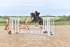 BPP_1332